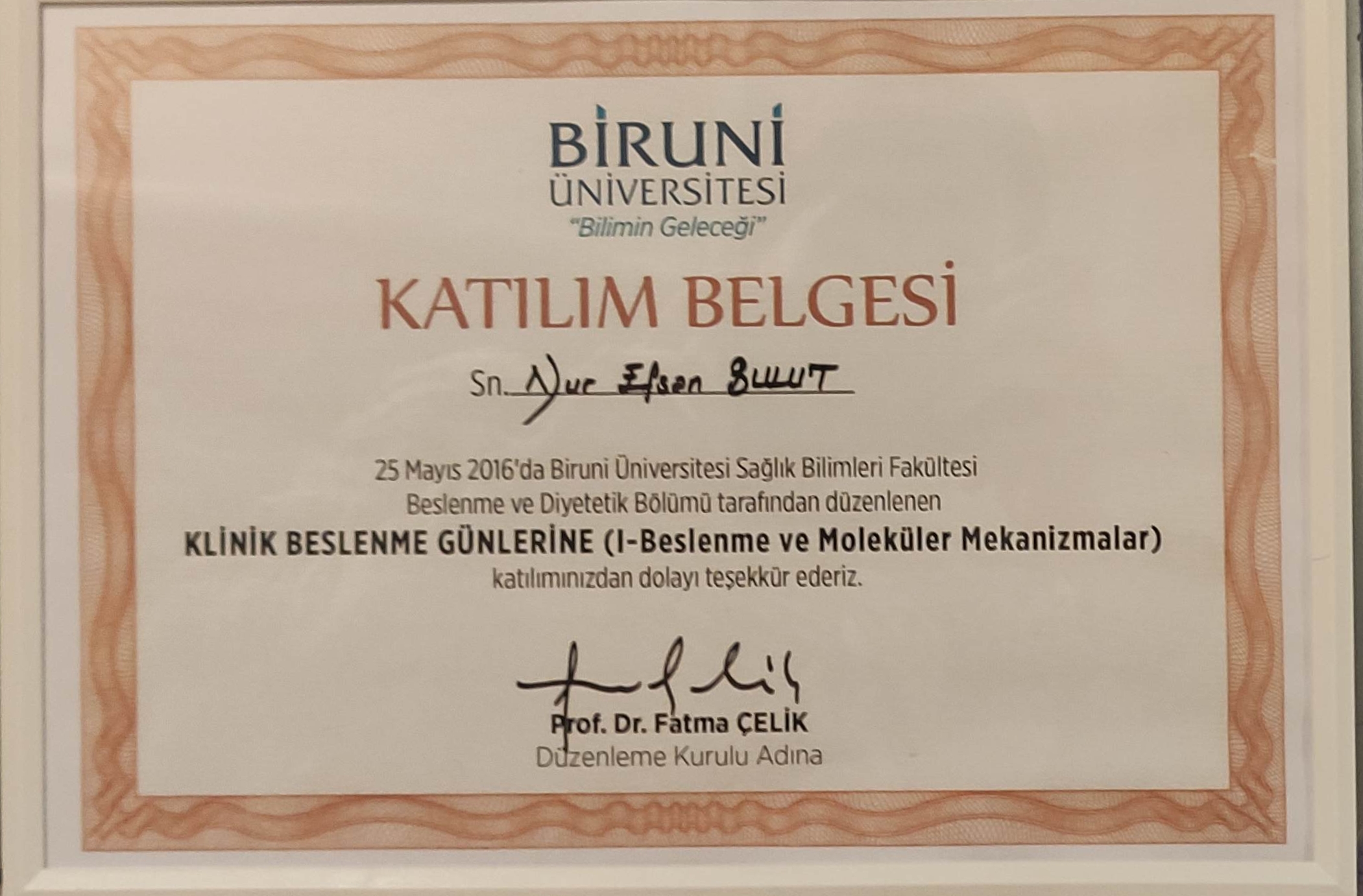 Sertifika Resmi